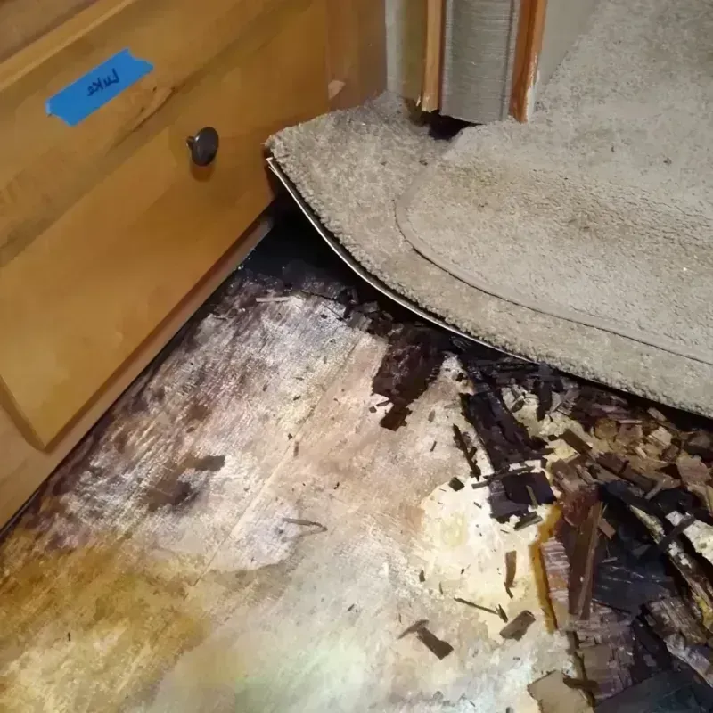 Wood Floor Water Damage in Golden Gate, FL